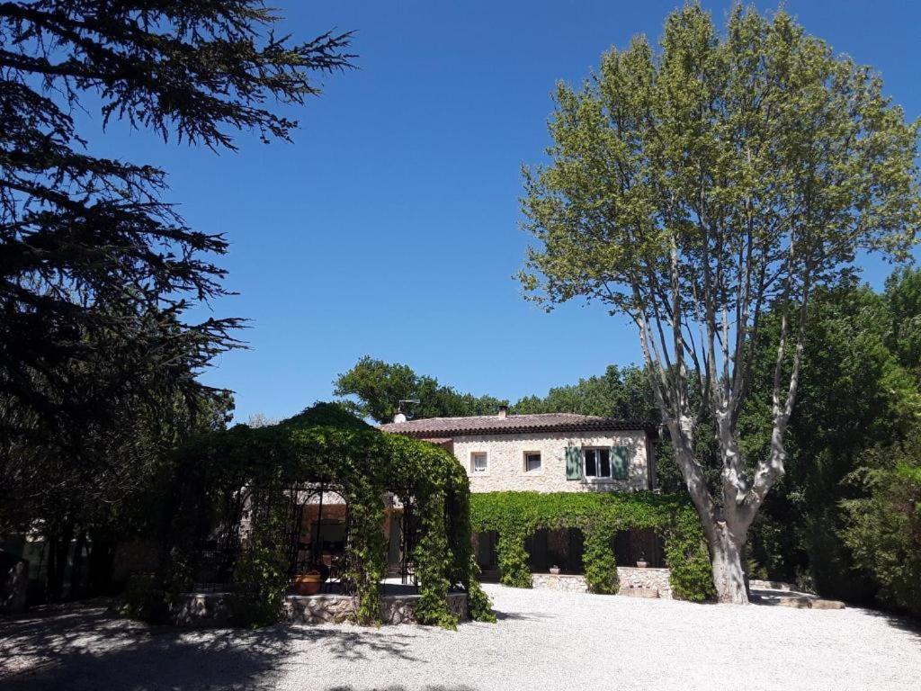 Mas De L'Ile Bed and Breakfast Avignon Exteriör bild