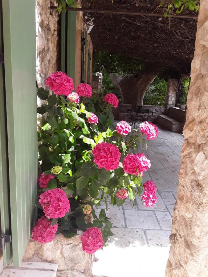 Mas De L'Ile Bed and Breakfast Avignon Exteriör bild